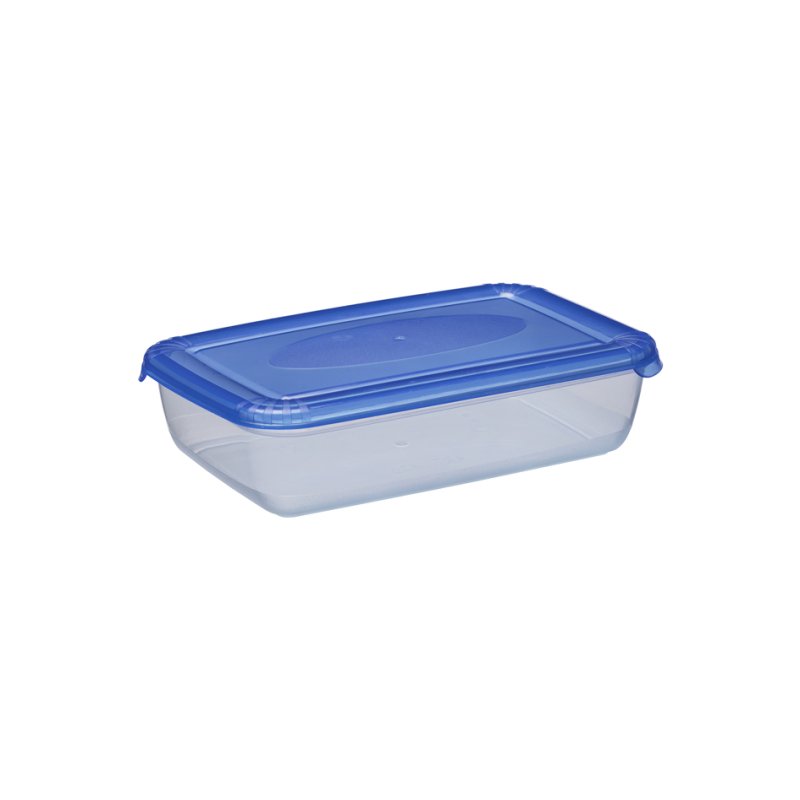 plast team boîte de congélation rectangulaire, 1,9 litre, gris, 255×167×62 mm